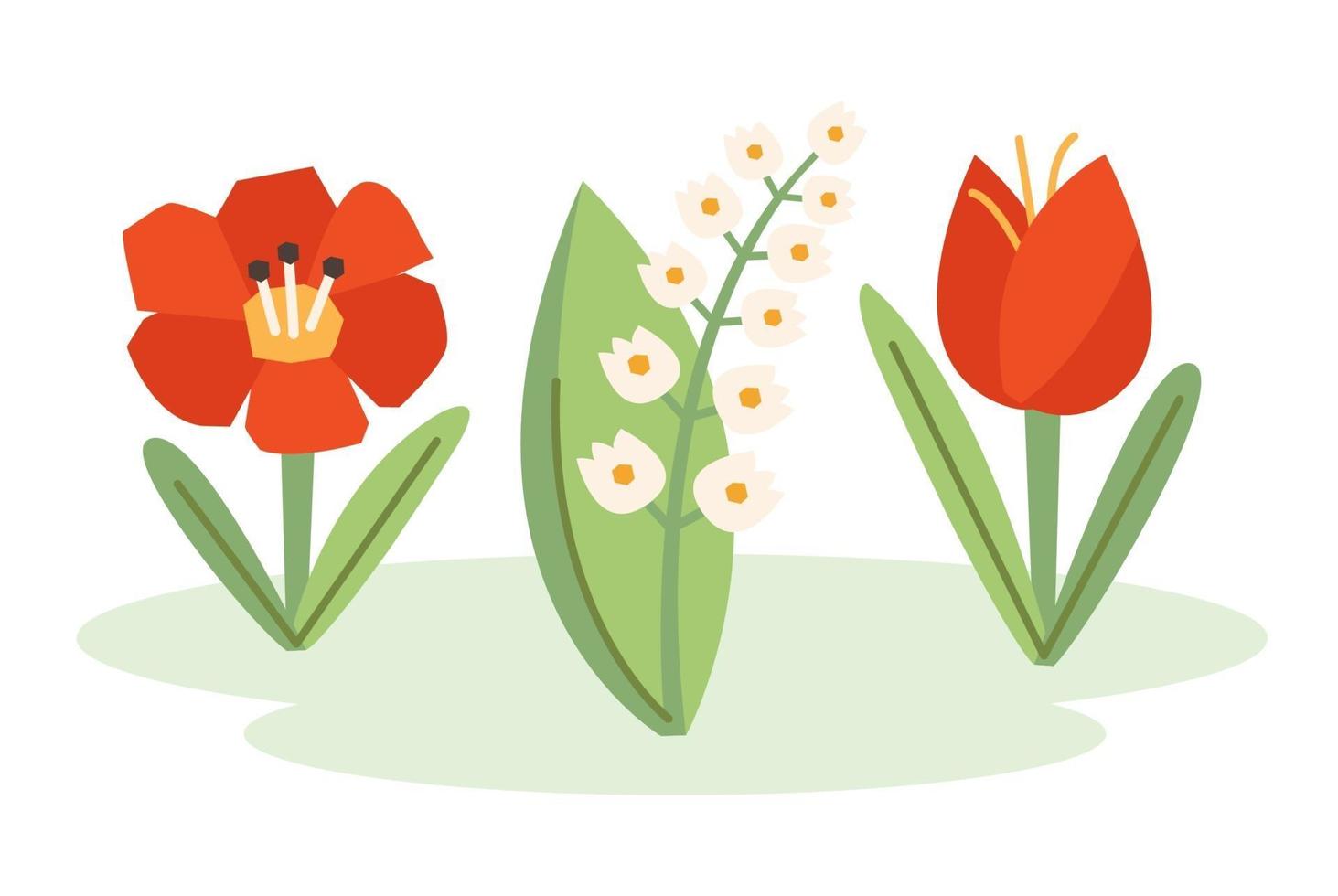 fiore di papavero, bucaneve, tulipano, illustrazione della natura, banner, card design. primavera. vettore