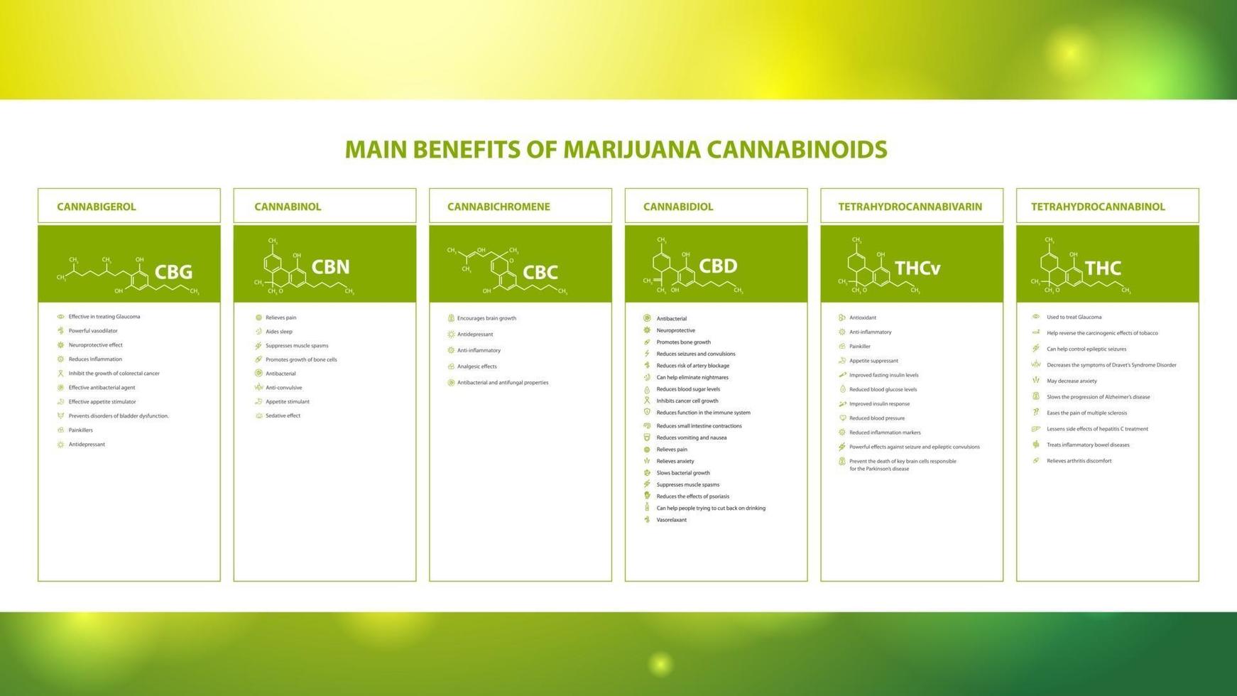 principali vantaggi dei cannabinoidi della marijuana, poster informativo con i benefici dei cannabinoidi della marijuana e tabella dei cannabinoidi naturali vettore