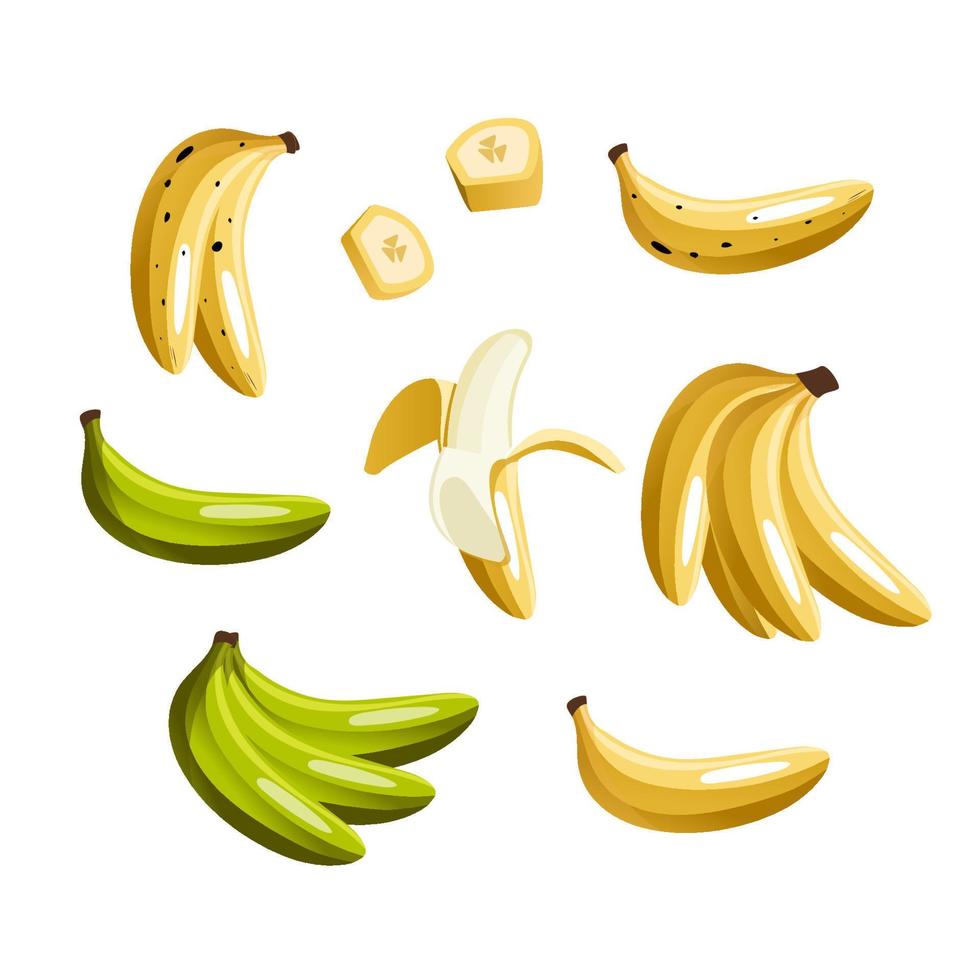 giallo e verde banane colorato piatto vettore illustrazioni impostare. esotico, tropicale frutta isolato su bianca sfondo. pelato e affettato e totale Banana. fresco vegetariano salutare cibo con vitamine.