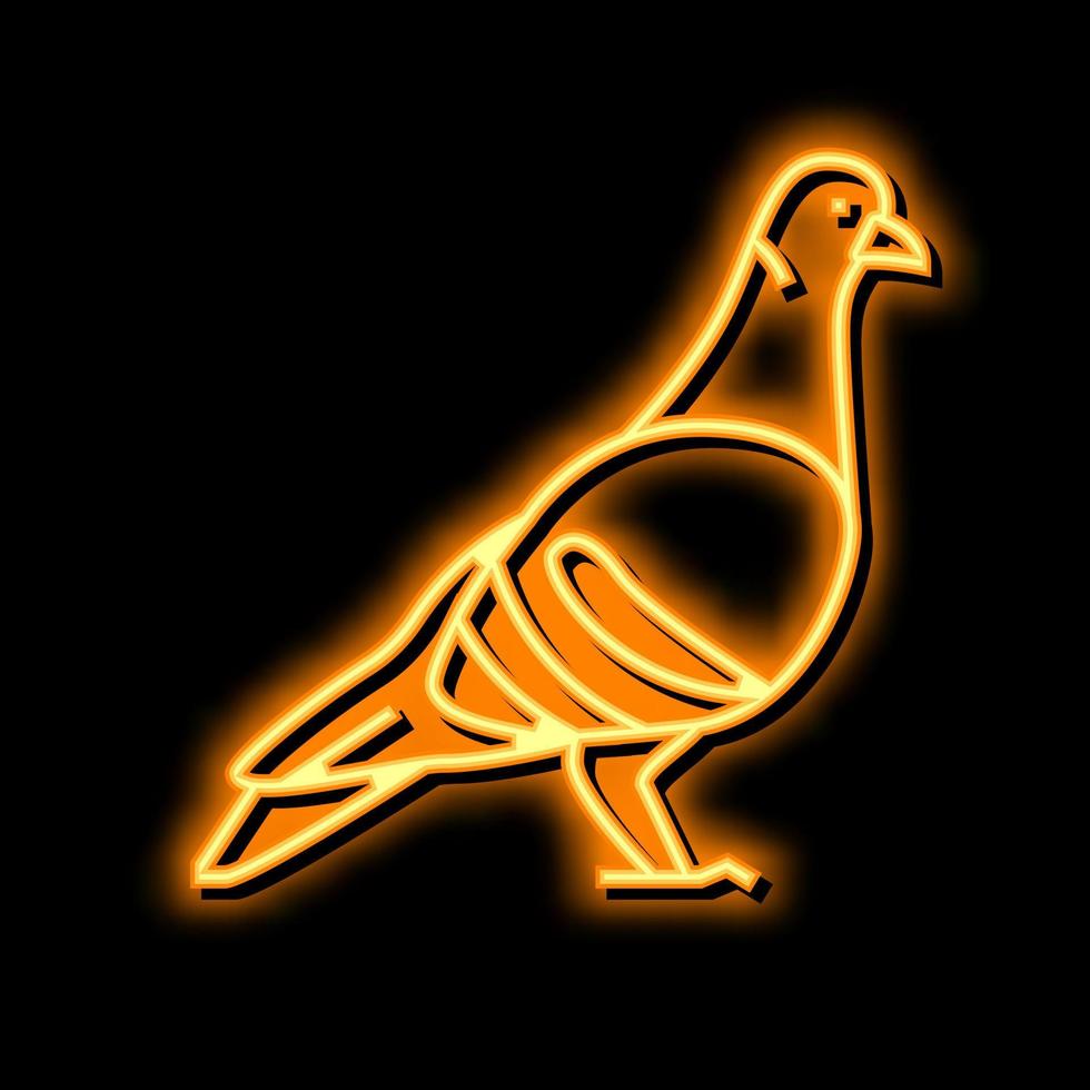Piccione uccello neon splendore icona illustrazione vettore