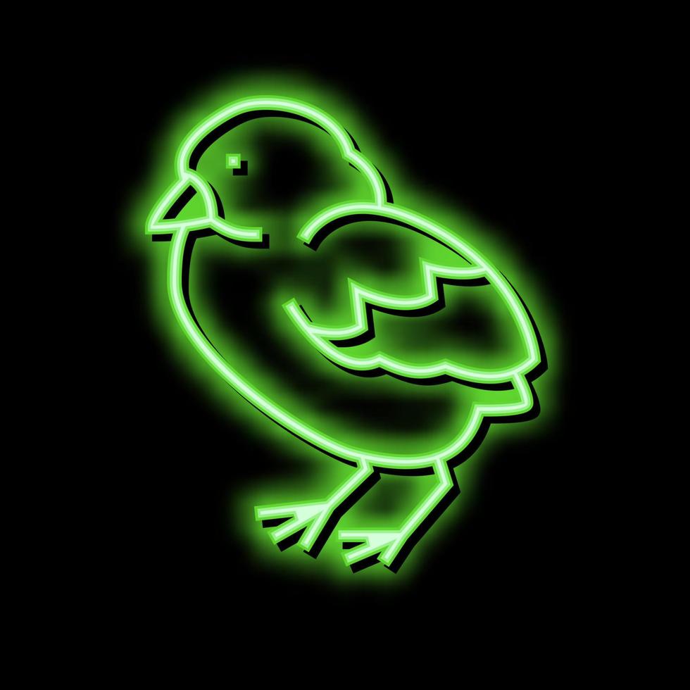 pulcino uccello neon splendore icona illustrazione vettore