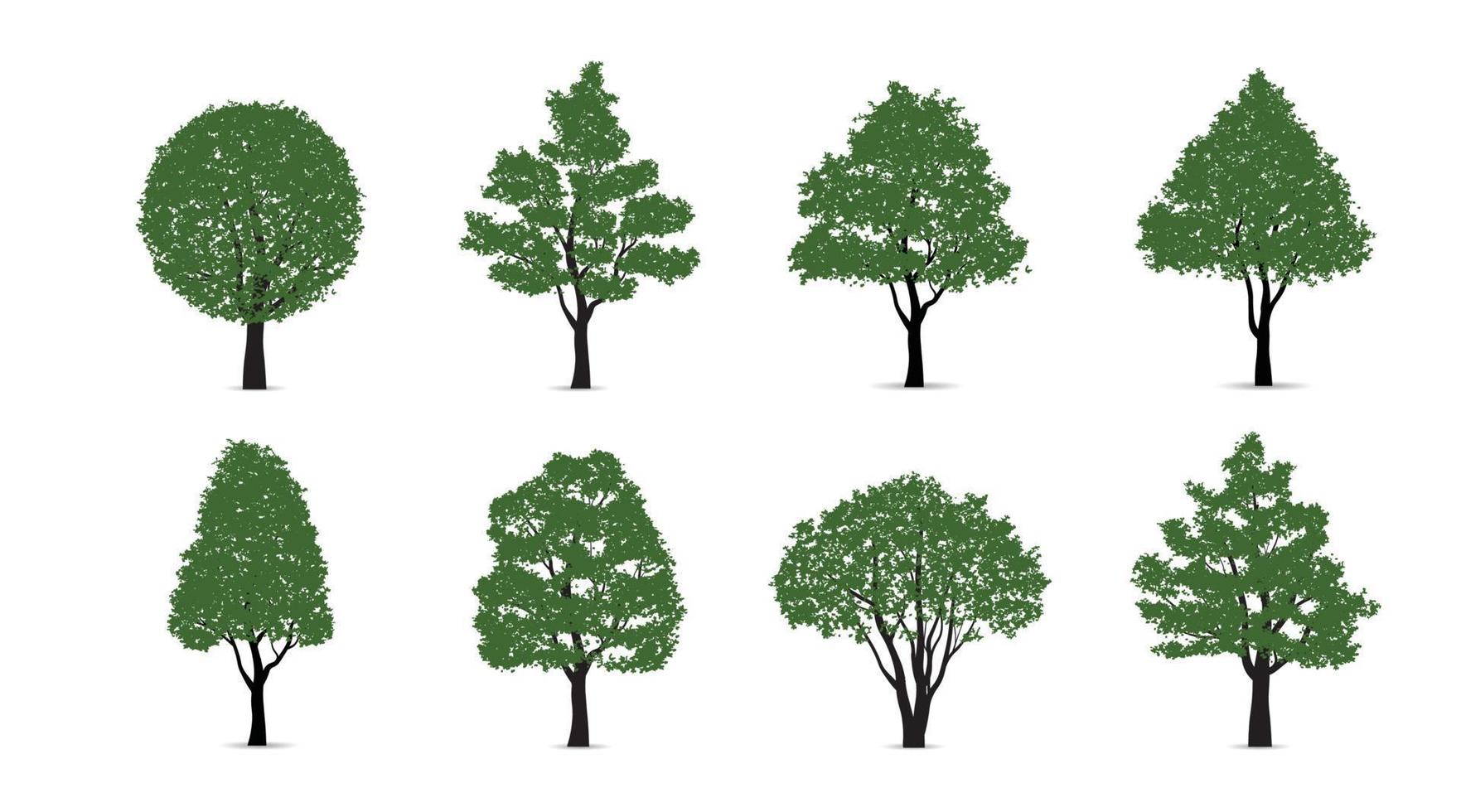 impostato di verde albero isolato su bianca sfondo per paesaggio design e architettonico composizioni con sfondi. vettore illustrazione.