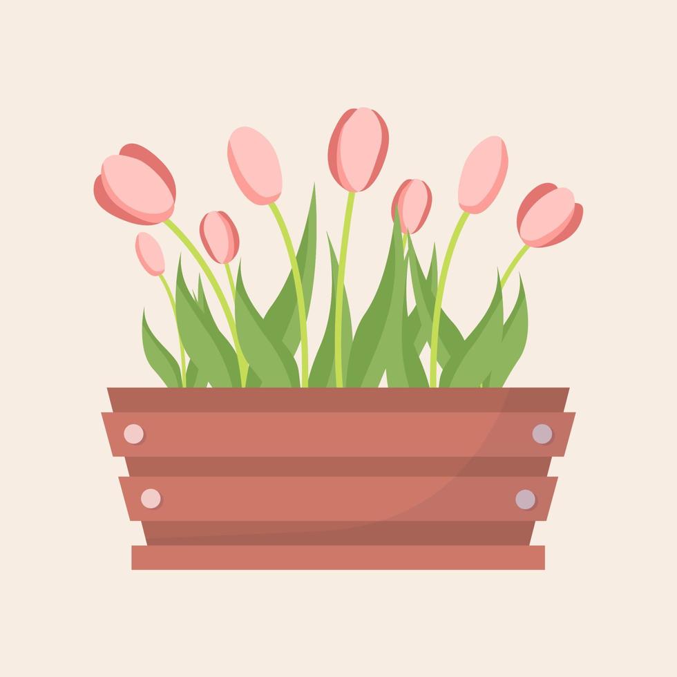 di legno scatola con bellissimo rosa tulipani. vettore illustrazione di il primavera fiori nel piatto stile per saluto carta.