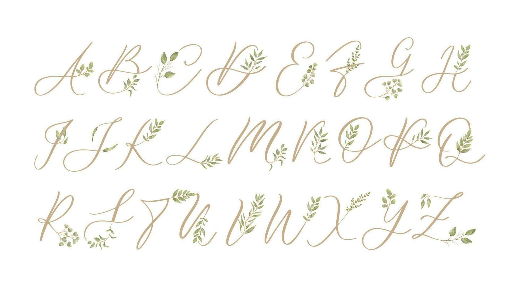 vettore di stilizzato botanico calligrafico font e alfabeto.