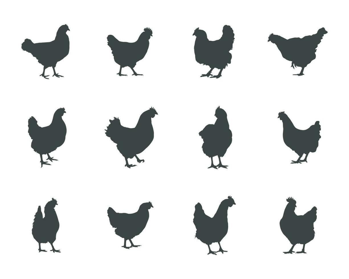 pollo gallina silhouette, gallina pollo silhouette impostare, pollo sagome vettore