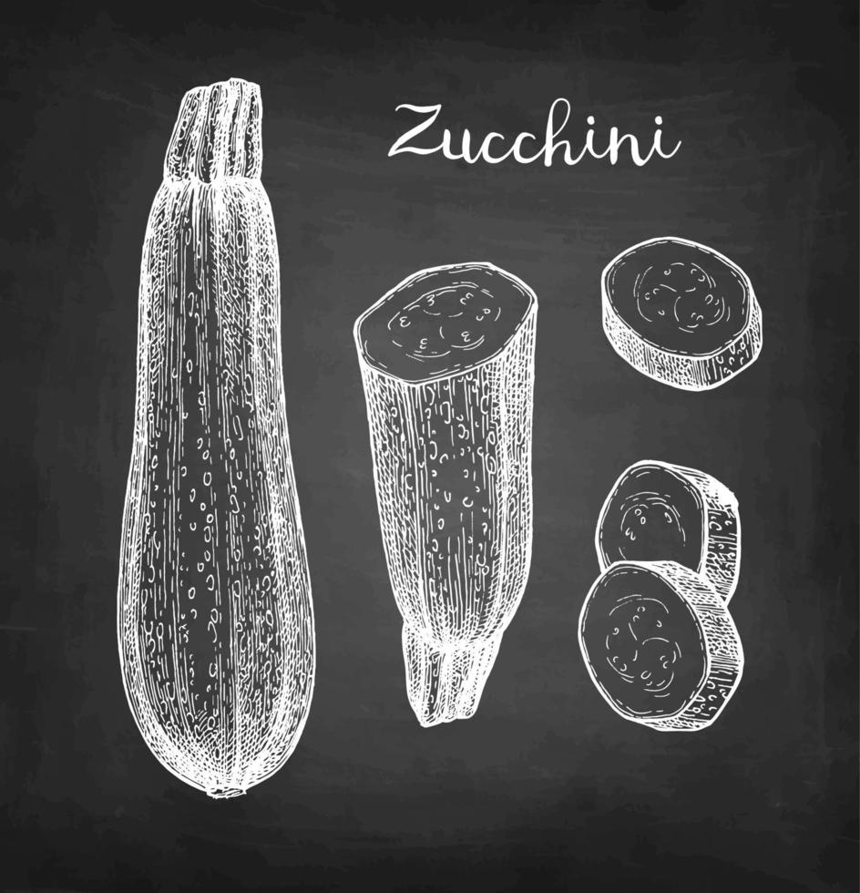 zucchine. gesso schizzo su lavagna sfondo. mano disegnato vettore illustrazione. retrò stile.