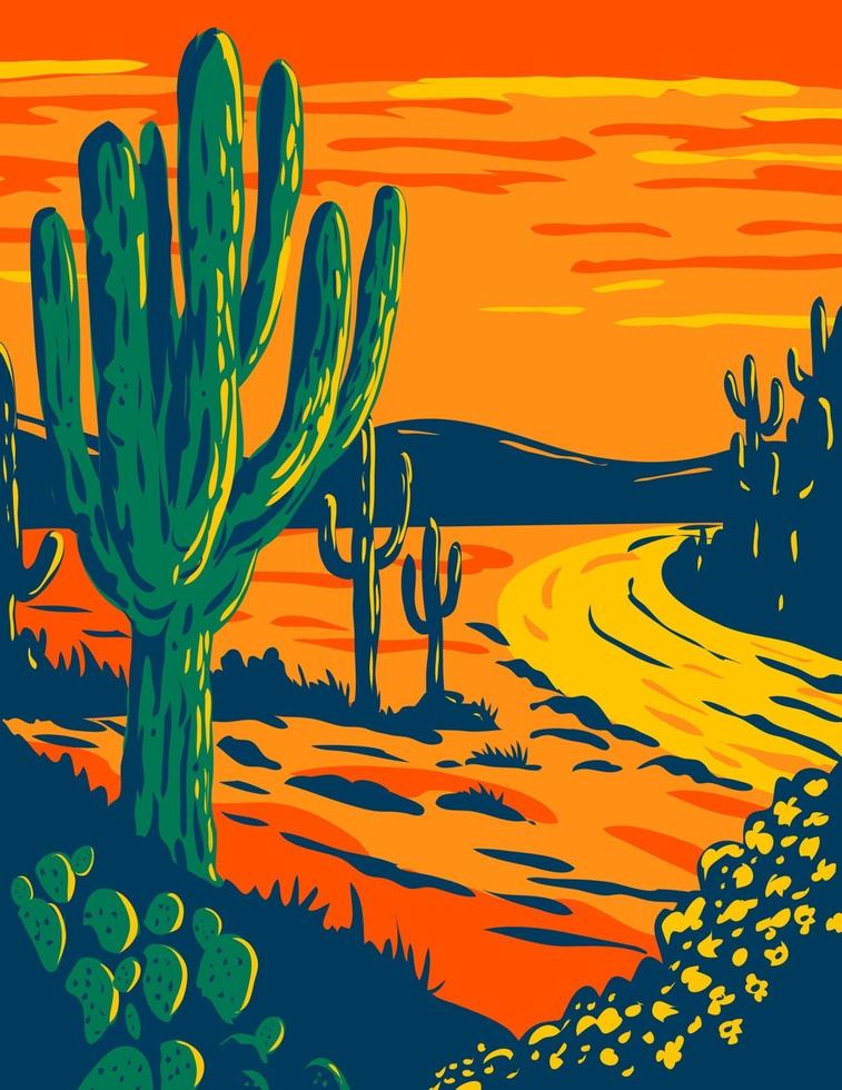 cactus saguaro al tramonto nel parco nazionale del saguaro a tucson in arizona, parco nazionale della california, poster art wpa vettore