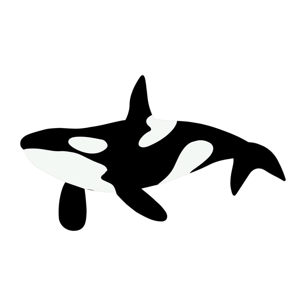 orca balene. mare animale uccisore balene. marino animale nel scandinavo stile. vettore