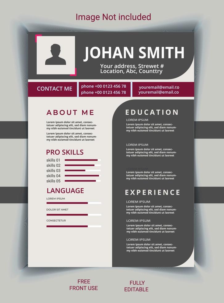 creativo e professionale CV design vettore