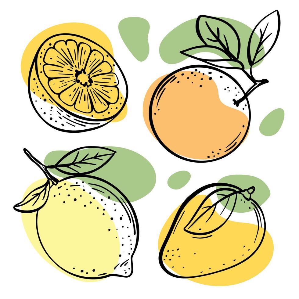 multifrutto delizioso frutta schizzo vettore illustrazione impostato