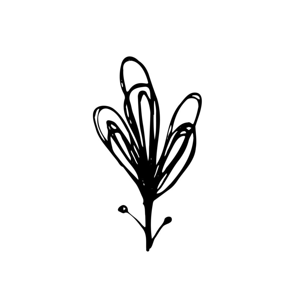 vettore impostato di scarabocchio disegnato a mano fiori. collezione di moderno linea illustrazioni.
