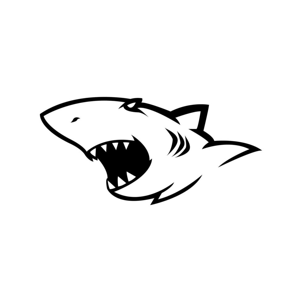 squalo illustrazione vettore design