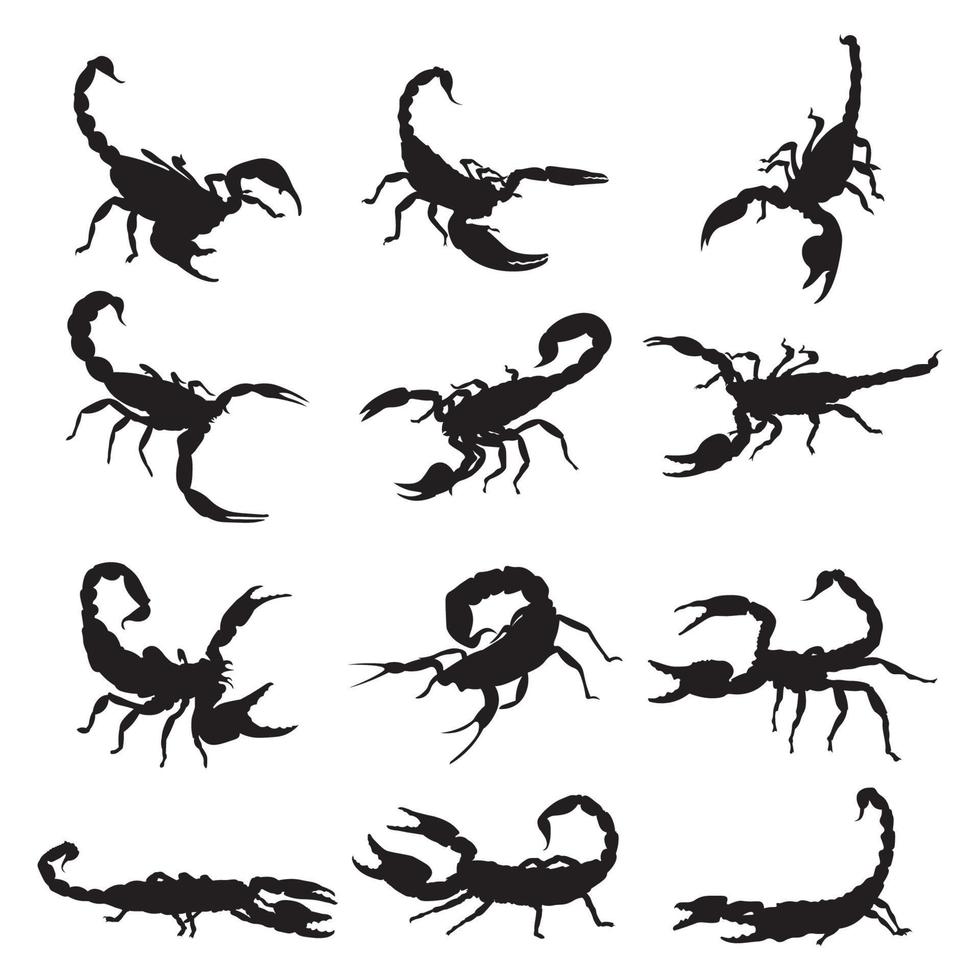 impostato scorpione silhouette vettore illustrazione.