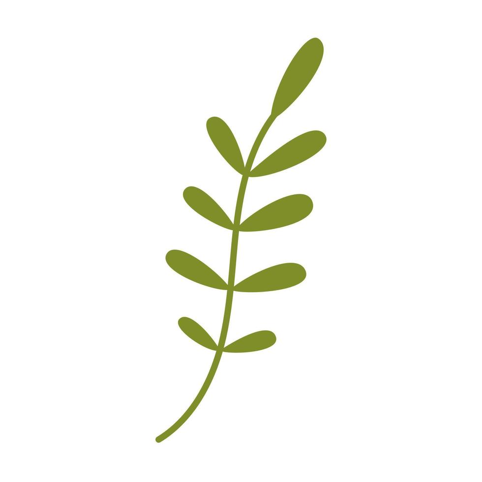 vettore verde ramoscello con le foglie nel piatto design. fogliame. ramo con arrotondato le foglie nel verde colore. primavera botanico illustrazione.