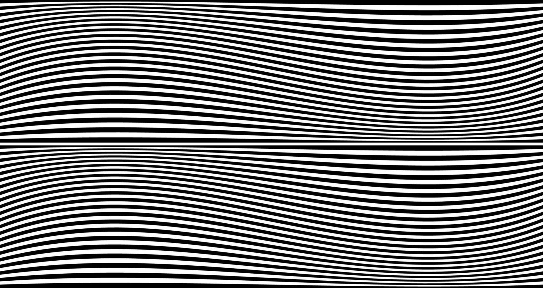 banner a strisce nere ondulate. linee di zebra dell'Africa psichedelica. modello astratto. trama con curve a righe ondulate. sfondo di arte ottica. design ondulato in bianco e nero, illustrazione vettoriale modello ipnotico