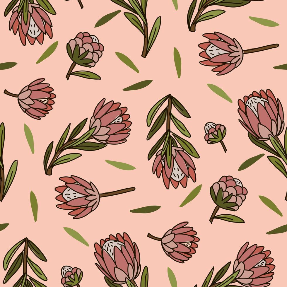 un' modello di illustrazioni di il re protea colore schizzo su un' rosa sfondo. esotico tropicale dipinto a mano fiori, un' simbolo di Sud Africa. sfondo per stampa, tessili, cartoline vettore