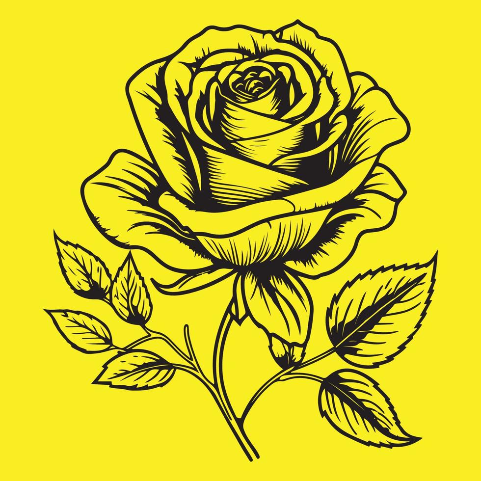 alto dettagliato rosa fiore nero schema vettore illustrazione isolato su giallo sfondo, rosa mano disegno schizzo.