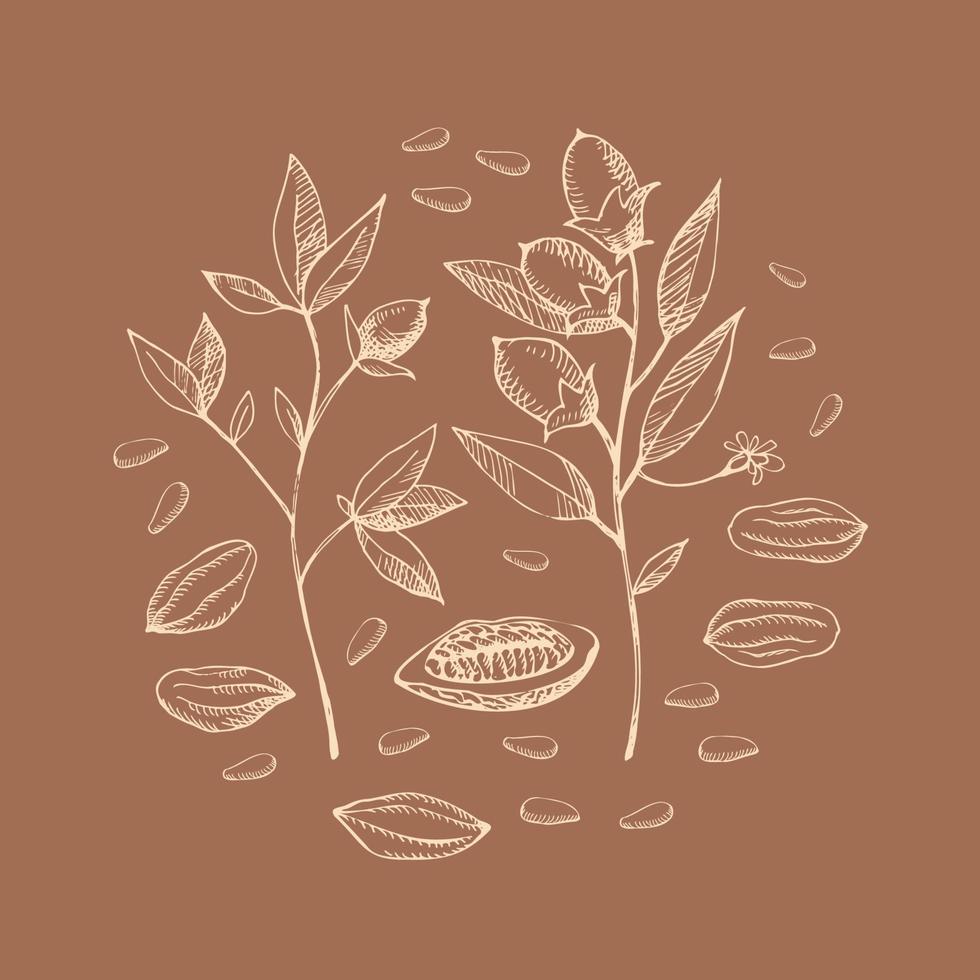 cacao impostare. mano disegnato cacao fagiolo vettore, schizzo di le foglie e cacao albero.parti di impianti. biologico design del prodotto elemento. scarabocchio per bar, negozio, menù, cosmetici. per etichetta, logo, emblema, simbolo vettore