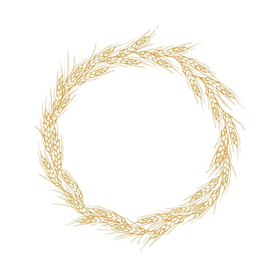 ghirlanda telaio a partire dal orecchie di grano.a mazzo di orecchie di grano, essiccato totale chicchi.cereali raccolto,agricoltura,biologico agricoltura, sano cibo simbolo.orecchie di Grano mano disegno.disegnato elemento. isolato sfondo vettore