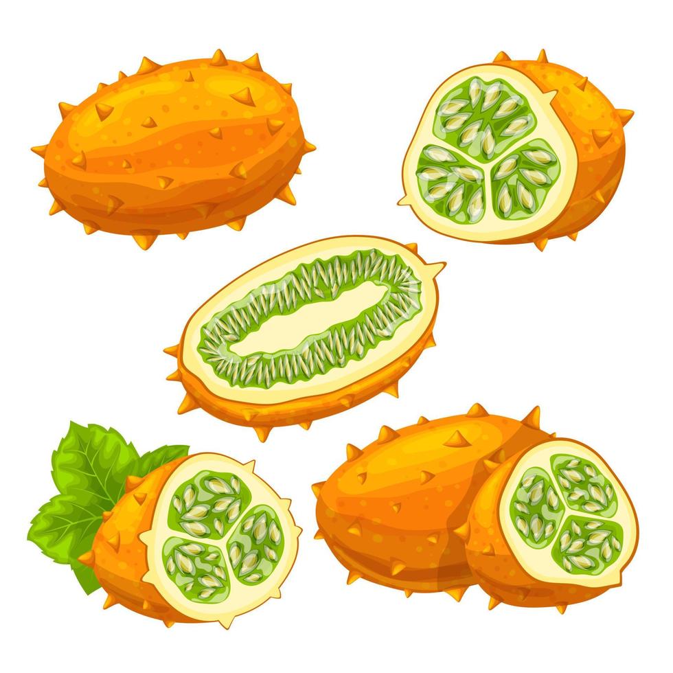 kiwano cibo maturo impostato cartone animato vettore illustrazione