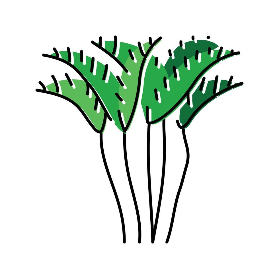 Areca palma albero colore icona vettore illustrazione