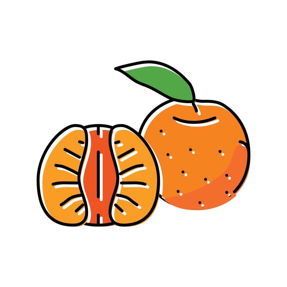 tagliare mandarino foglia colore icona vettore illustrazione