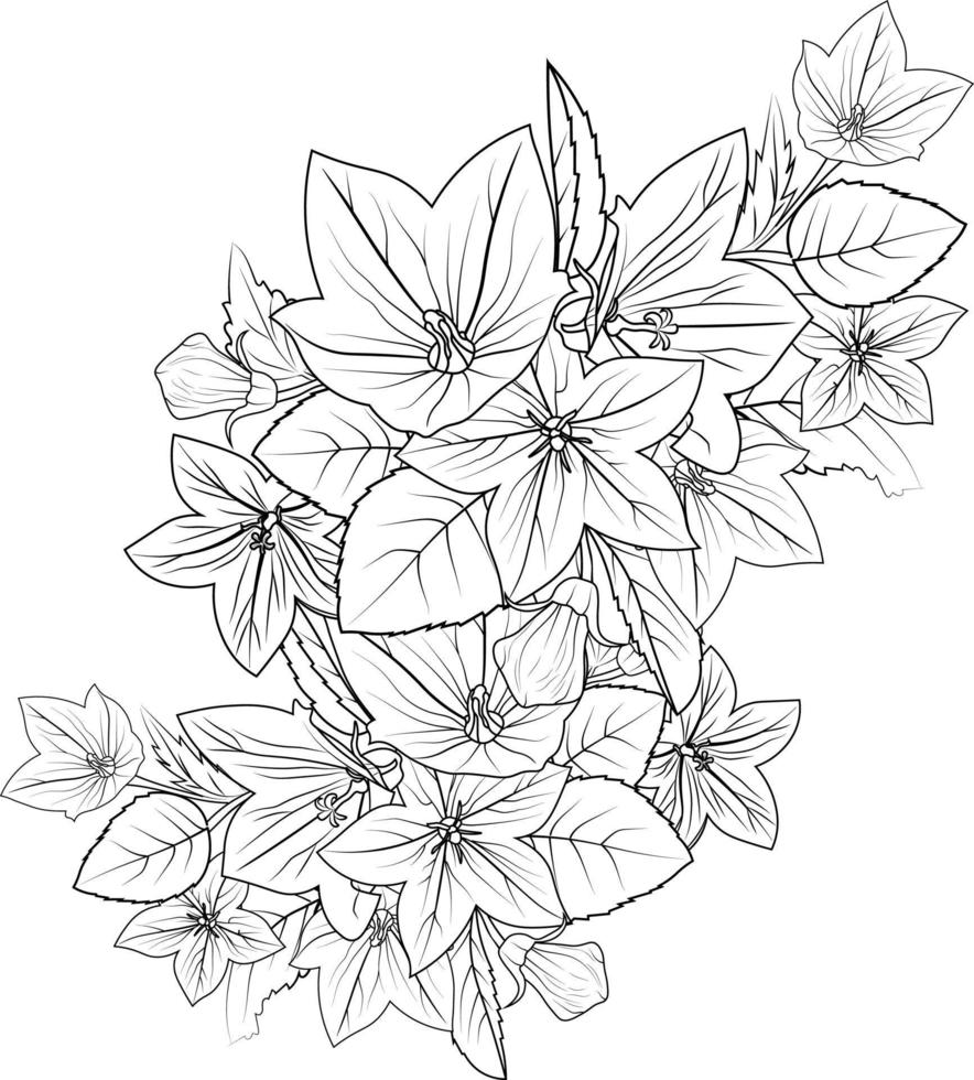 strisciante campanula disegno, campanule illustrazione colorazione pagina, semplicità, abbellimento, monocromo, vettore arte, schema Stampa con fiori Palloncino fiore, mazzo foglie, e mini cuffie,