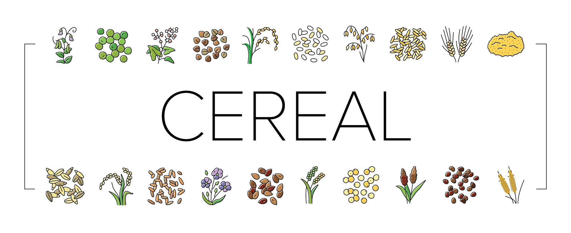cereale pianta salutare cibo icone impostato vettore