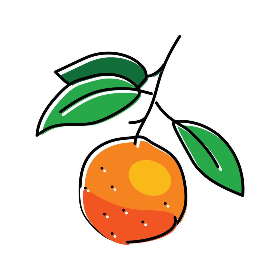 ramo mandarino foglia colore icona vettore illustrazione