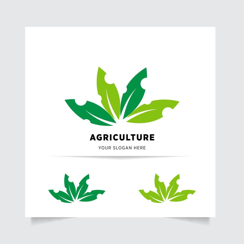 piatto emblema logo design per agricoltura con il concetto di verde le foglie vettore. verde natura logo Usato per agricolo sistemi, agricoltori, e piantagione prodotti. logo modello. vettore