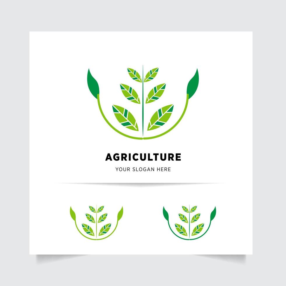 piatto emblema logo design per agricoltura con il concetto di verde le foglie vettore. verde natura logo Usato per agricolo sistemi, agricoltori, e piantagione prodotti. logo modello. vettore