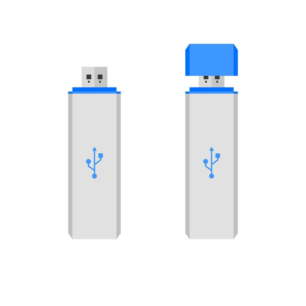 USB veloce guidare piatto design vettore illustrazione isolato su bianca sfondo. Flash Disk vettore illustrazione