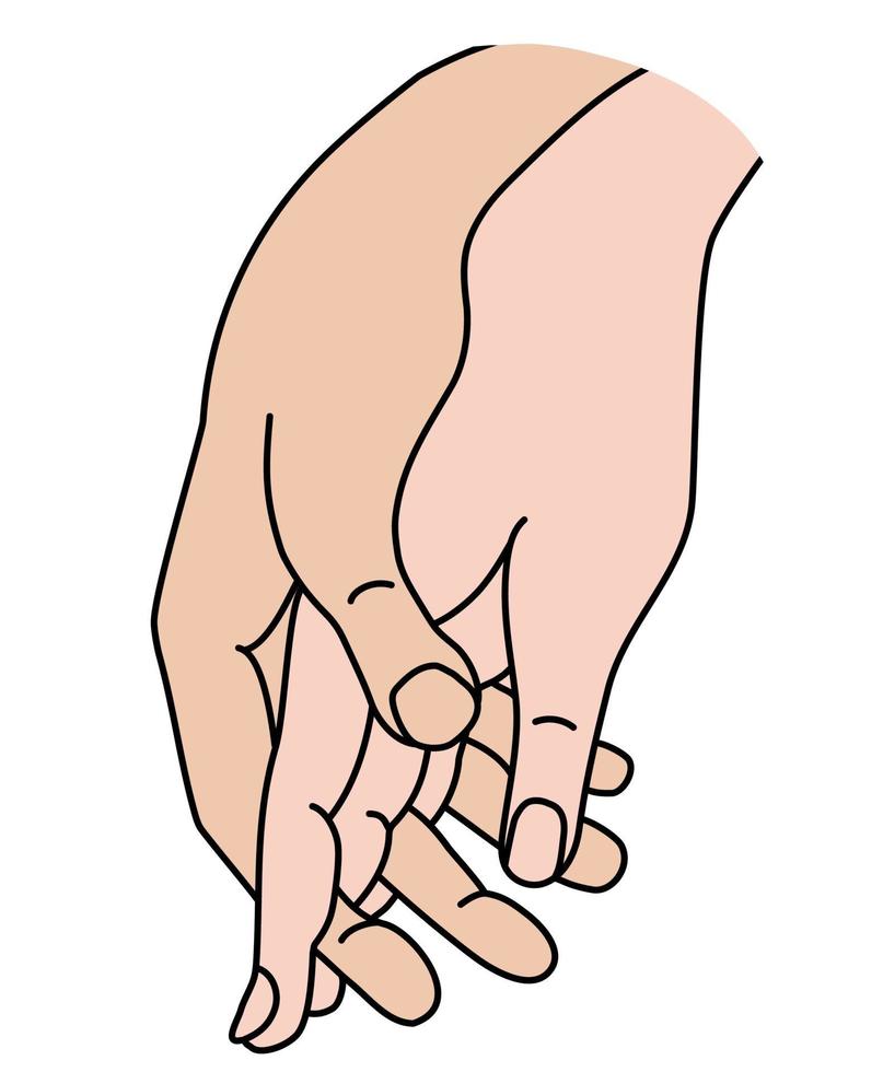 mano femminile e maschile. concetto - tenerezza, amore e passione. disegno a mano di colore lineare. isolato su bianco. donna e uomo che si tengono per mano. illustrazione vettoriale