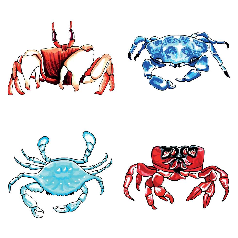 impostato di Marrone, blu, rosso e acqua colore Granchi. vettore eps illustrazione marino animali.