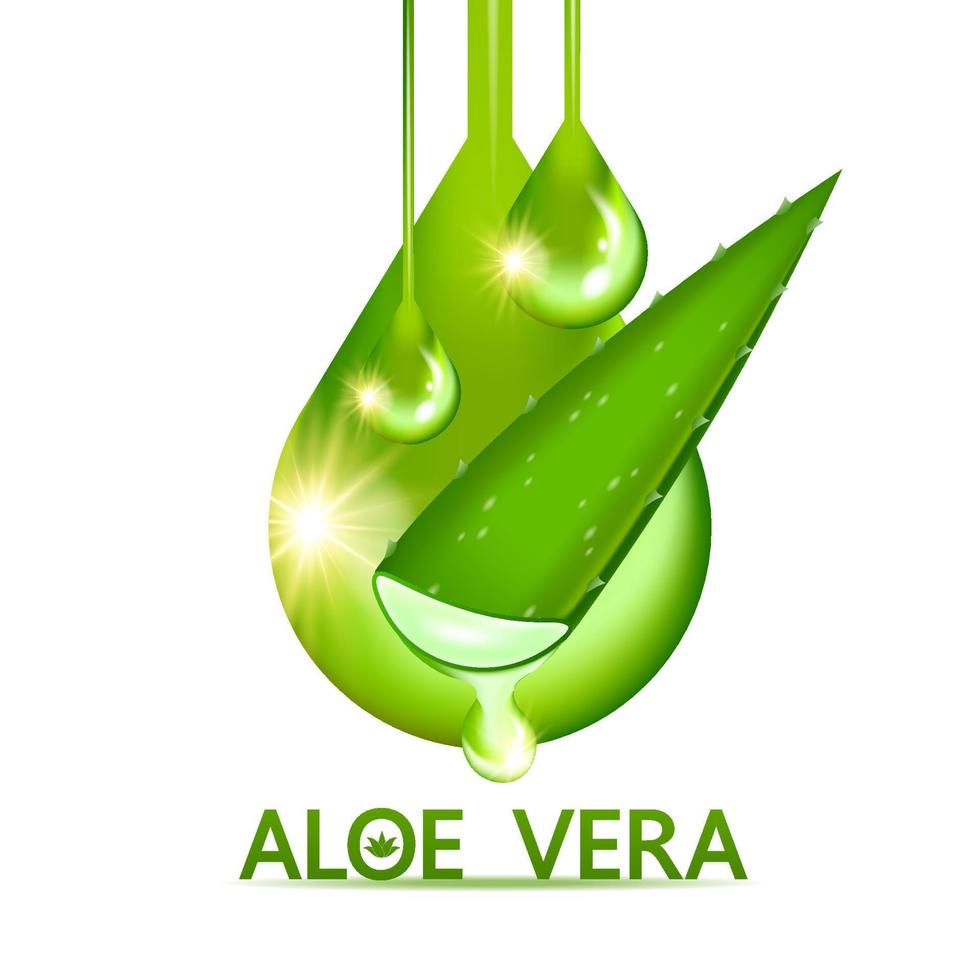 aloe Vera collagene e siero per pelle cura cosmetico vettore