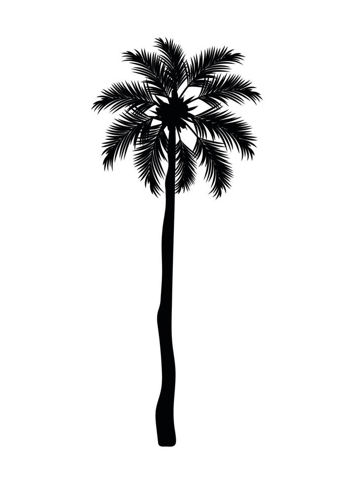 palma silhouette design vettore