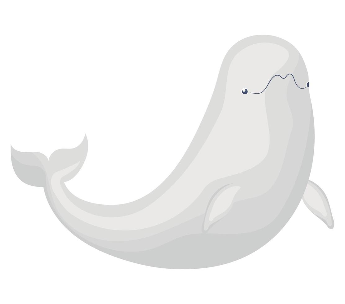grigio beluga illustrazione vettore