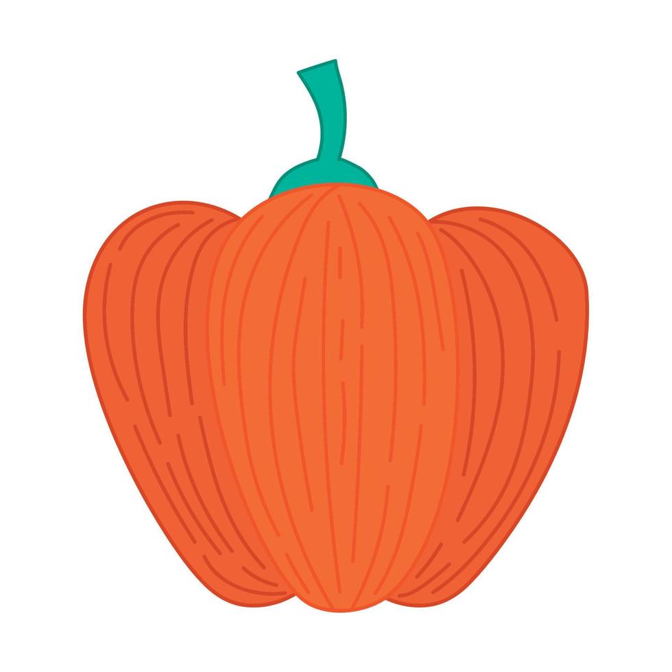 illustrazione di zucca arancione vettore