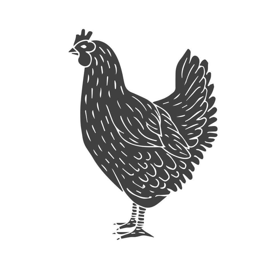 vettore mano disegnato pollo gallina