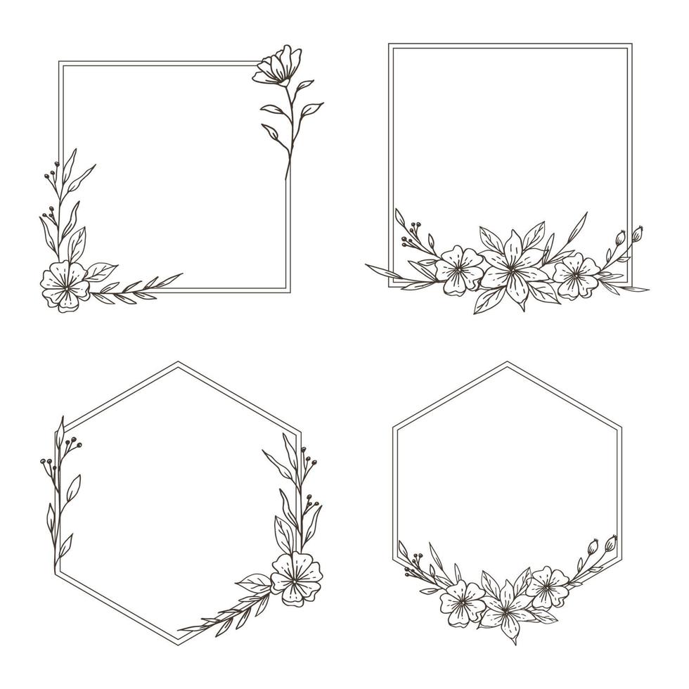 un' impostato di mano disegnato floreale telaio semplice minimalista con biologico le foglie e fiore vettore