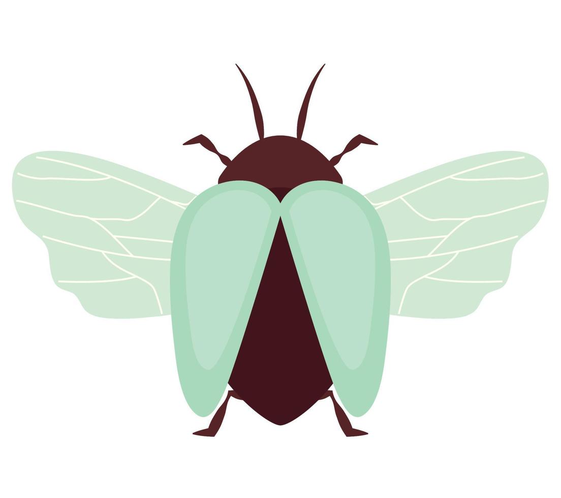 colorato scarafaggio illustrazione vettore