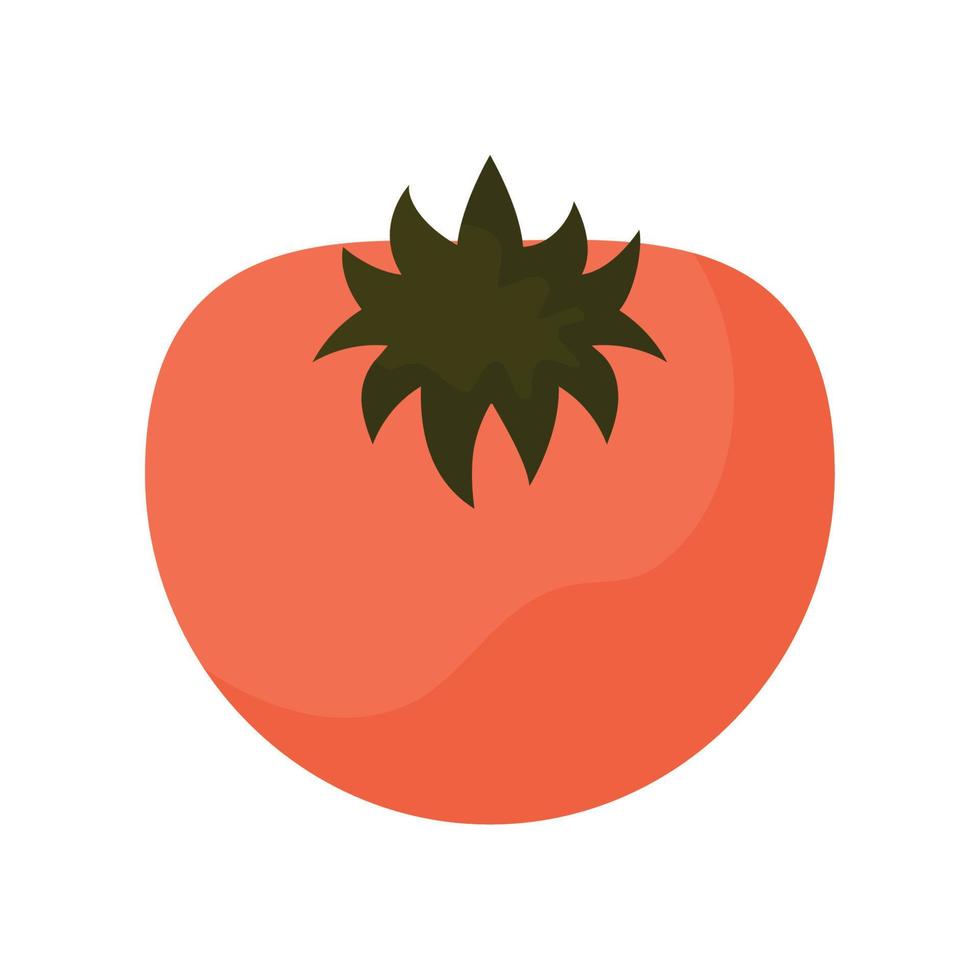 rosso pomodoro illustrazione vettore
