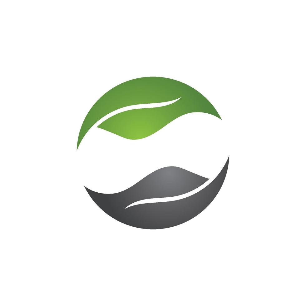 foglia verde ecologia natura logo elemento immagine vettoriale