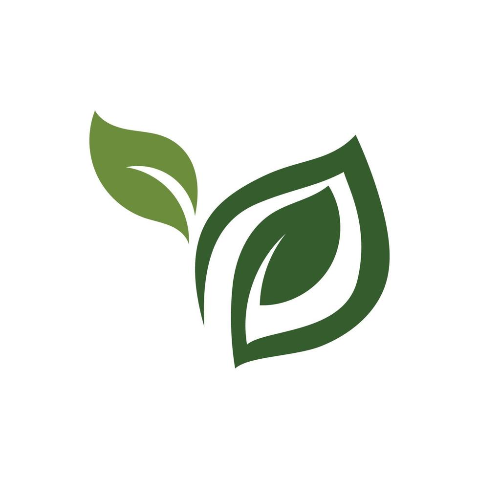 foglia verde ecologia natura logo elemento immagine vettoriale