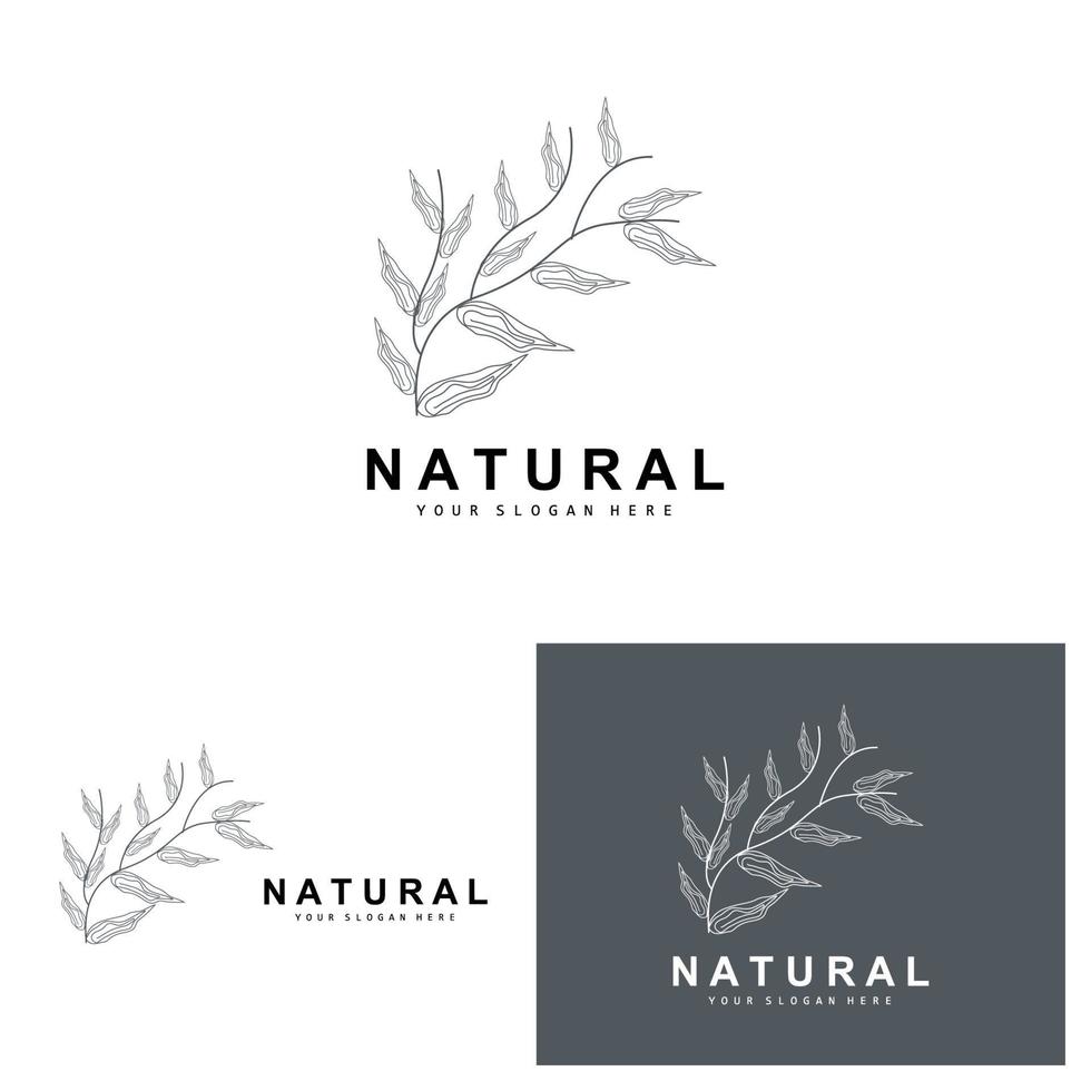 semplice botanico foglia e fiore logo, vettore naturale linea stile, decorazione disegno, striscione, volantino, nozze invito, e Prodotto il branding