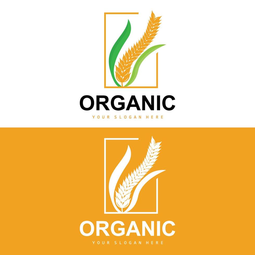 Grano riso logo, agricolo biologico impianti vettore, lusso design d'oro forno ingredienti vettore