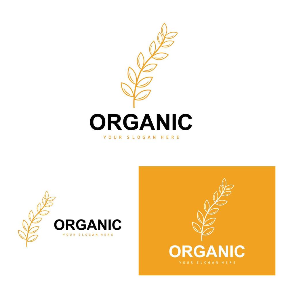 Grano riso logo, agricolo biologico impianti vettore, lusso design d'oro forno ingredienti vettore