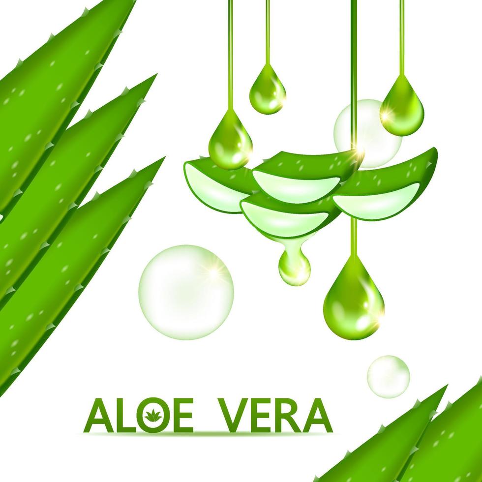 aloe Vera collagene e siero per pelle cura cosmetico vettore