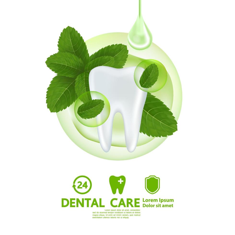 dentale cura con menta piperita foglia vettore