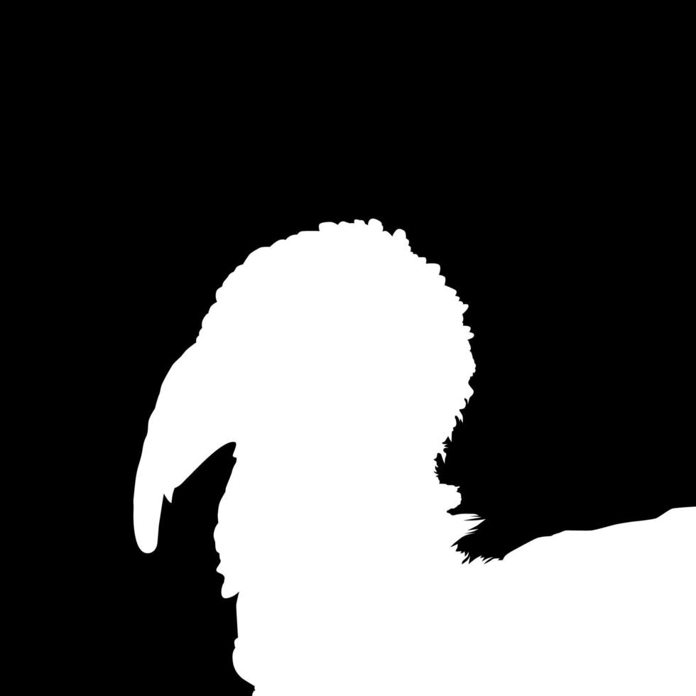 tacchino testa silhouette per arte illustrazione, pittogramma o grafico design elemento. il tacchino è un' grande uccello nel il genere meleagris. vettore illustrazione